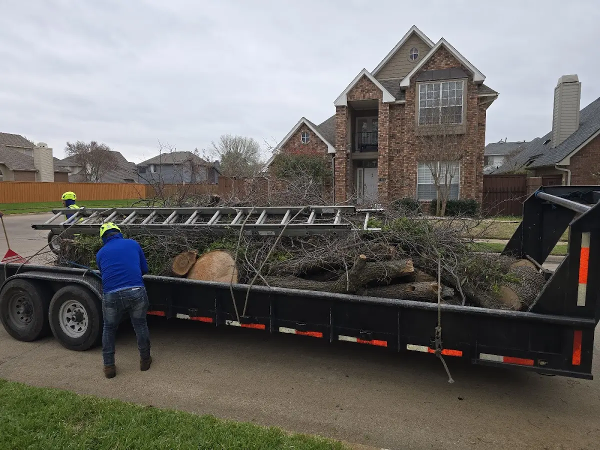 Expert Lot Clearing with proper safety equipment in Kosse